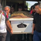 Coach Amirul Meninggal Dunia